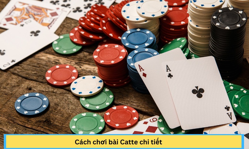 Cách chơi bài Catte chi tiết