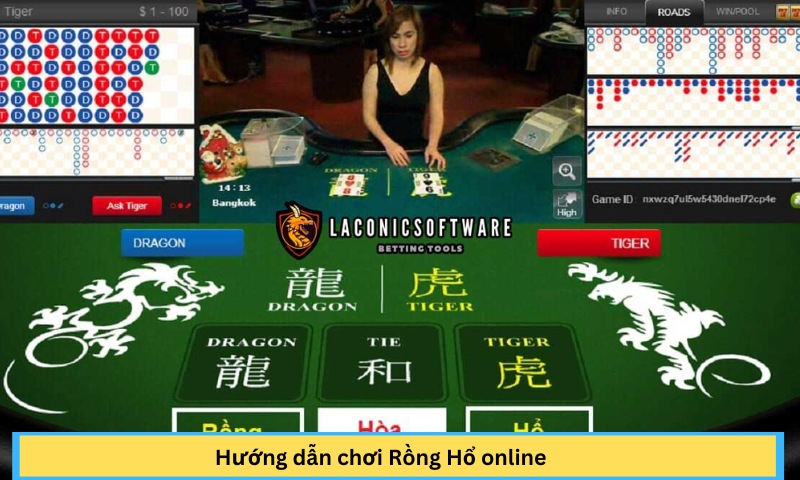 rồng hổ online